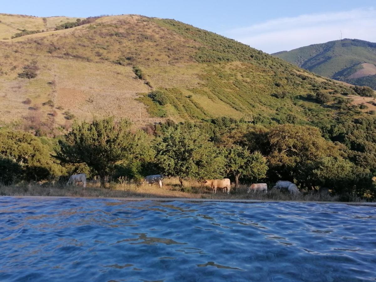 Stazzu Coiga Villa Aggius Kültér fotó