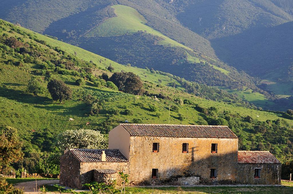 Stazzu Coiga Villa Aggius Kültér fotó